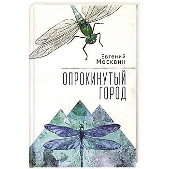 Опрокинутый город