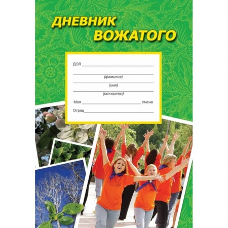 Студенческая жизнь. Нормативные документы, книга Дневник вожатого. Практическое пособие купить по скидке