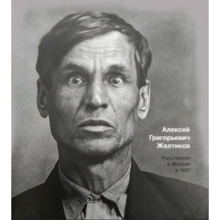 Публицистика, книга Большой террор 1937-1938 купить по скидке