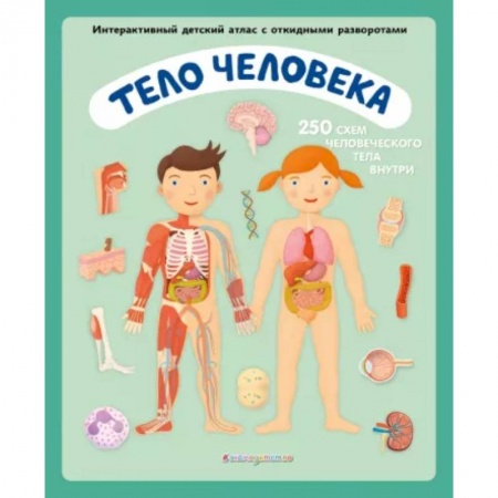 Человек. Земля. Вселенная, книга Тело человека. Интерактивный детский атлас с откидными разворотами купить по скидке